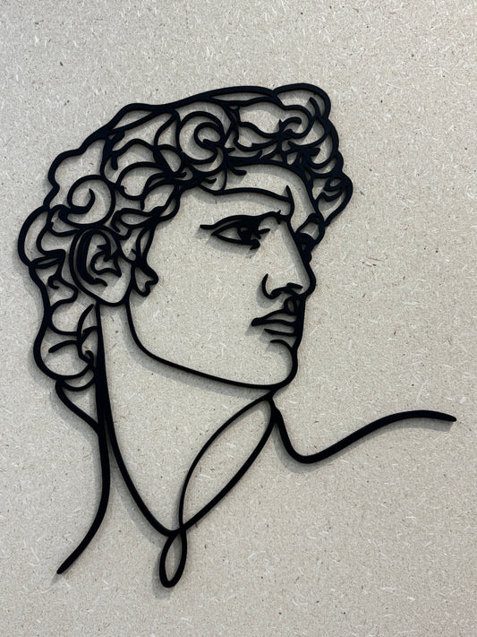 David in linea continua