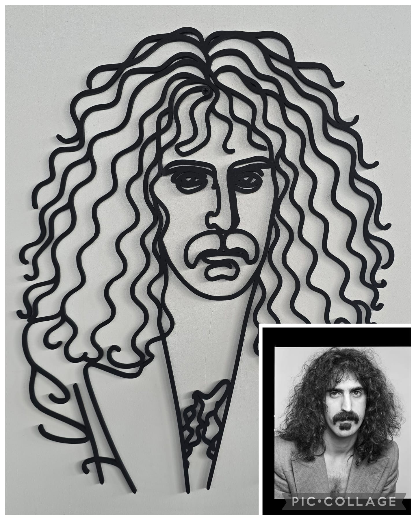 Frank Zappa - ispirato-  in linea continua
