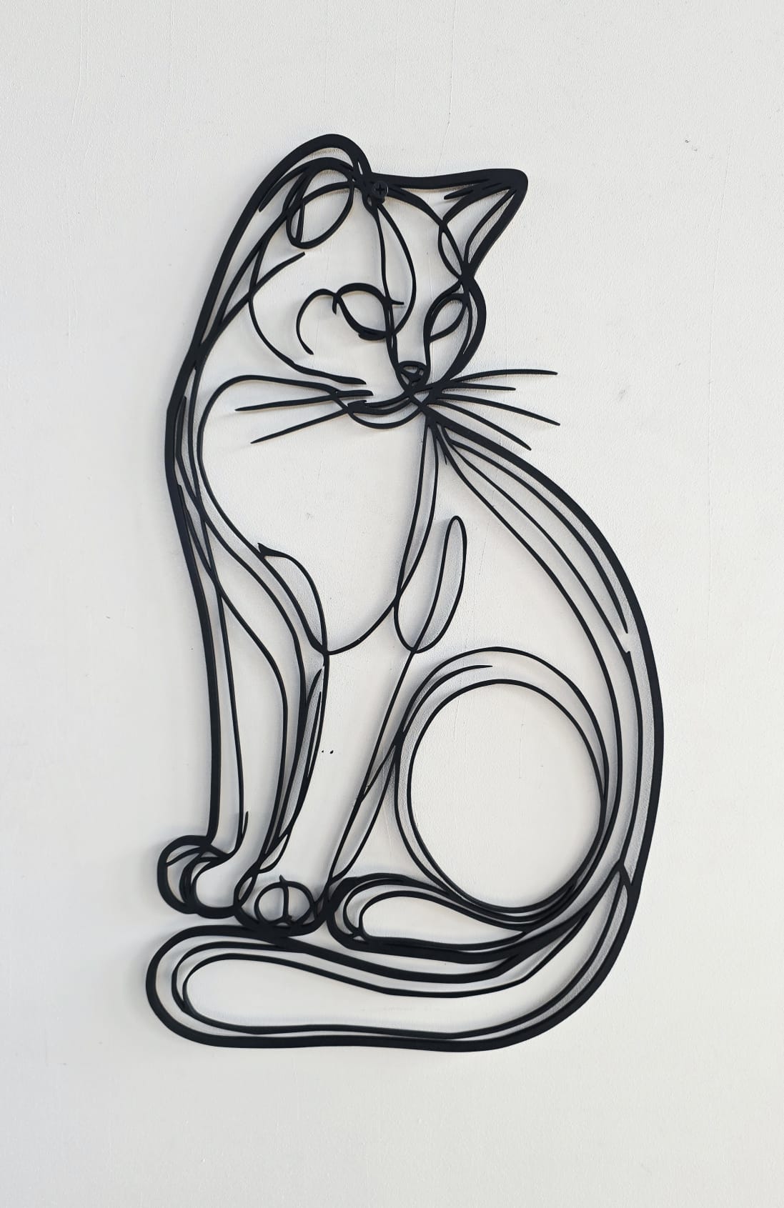 Gatto Linea Continua