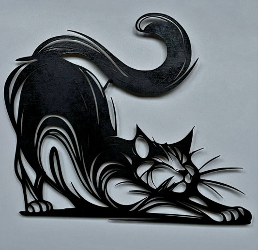 Il Gatto — Perché certi momenti meritano di restare